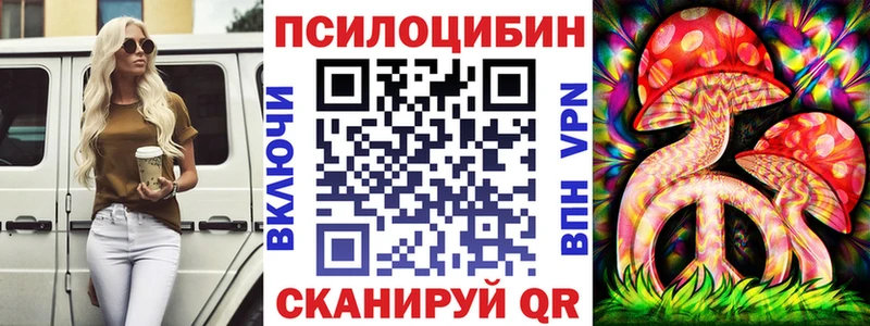 что такое   Пойковский  Галлюциногенные грибы Psilocybe 